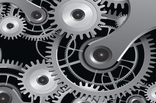 bizcn7777mp55dddwwwcom